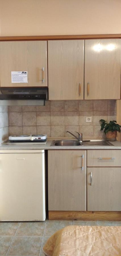 Xenia Palace Luxury Apartments Nea Vrasna Ngoại thất bức ảnh
