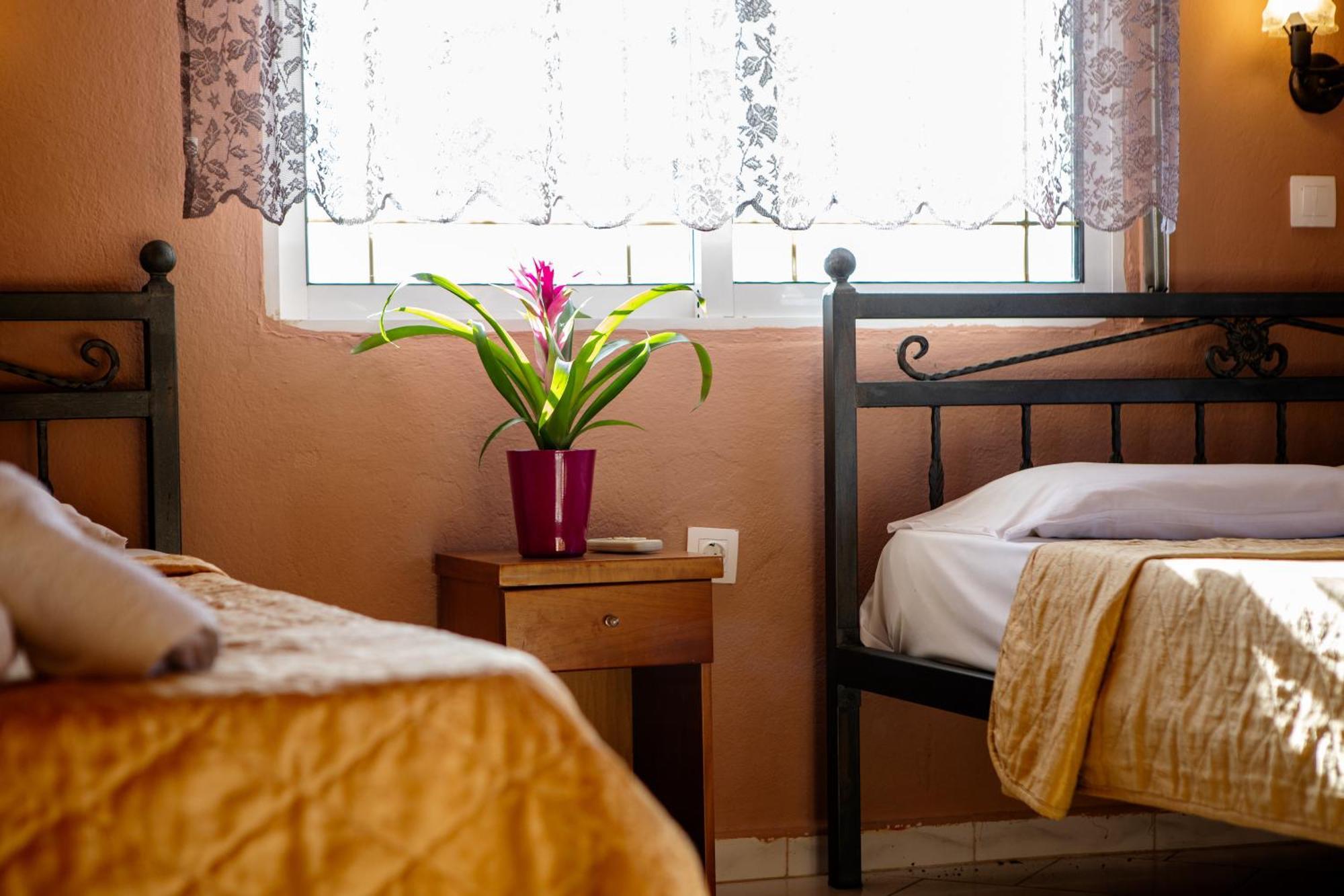 Xenia Palace Luxury Apartments Nea Vrasna Ngoại thất bức ảnh